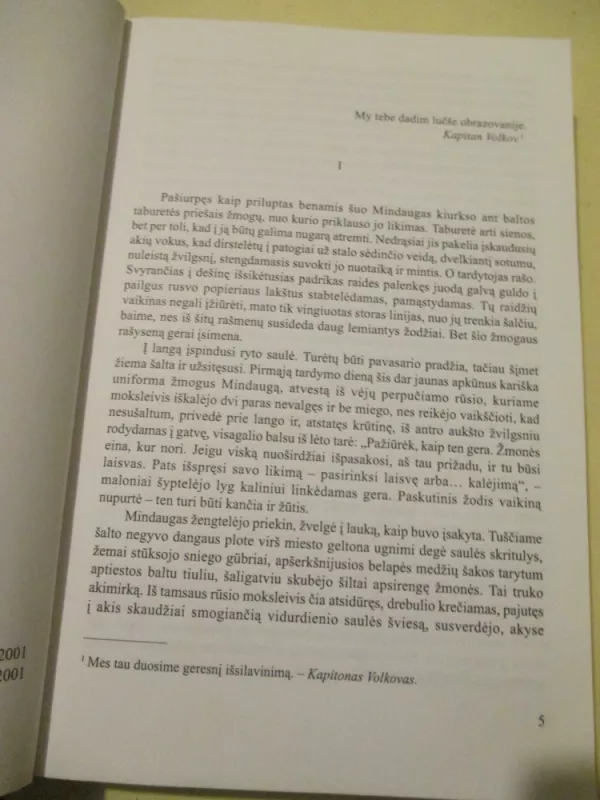Velnio ratu - Vytautas Rakauskas, knyga 3