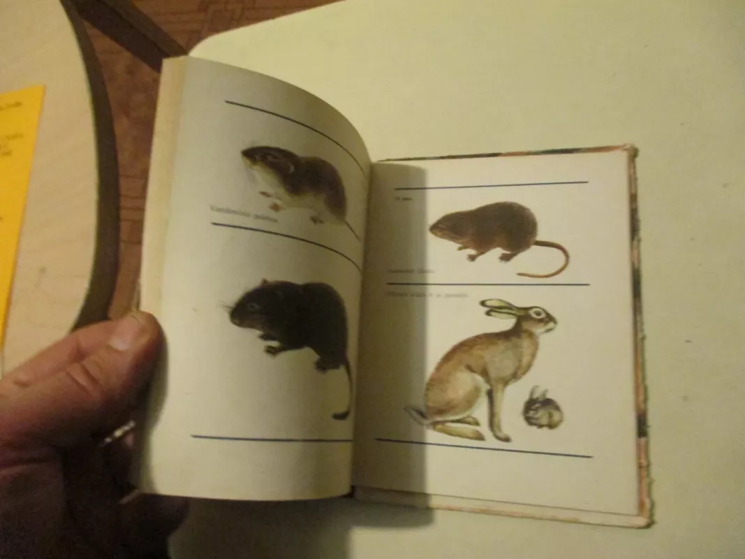 Lietuvos žinduoliai - Janina Prūsaitė, knyga 4