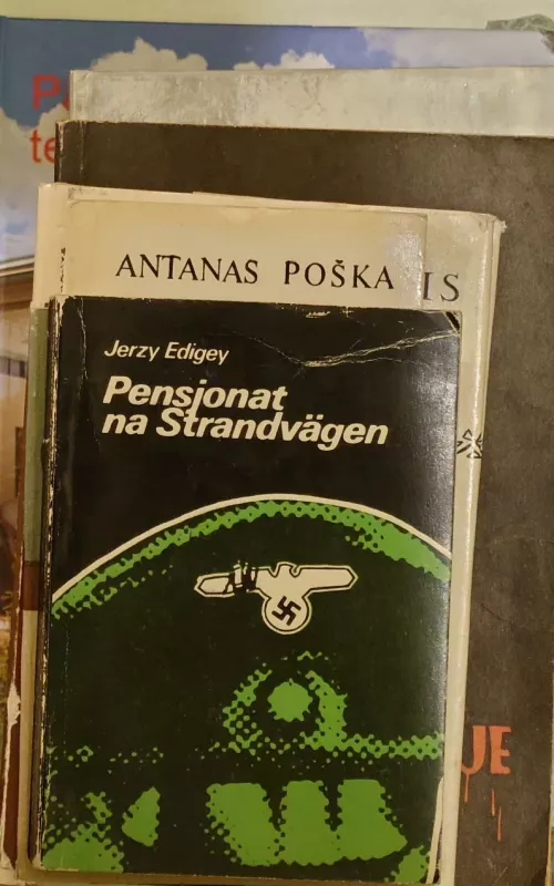 Pensjonat w Strandvagen - Jerzy Edigey, knyga