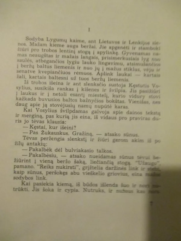 Užgesęs sniegas - Aloyzas Baronas, knyga 5