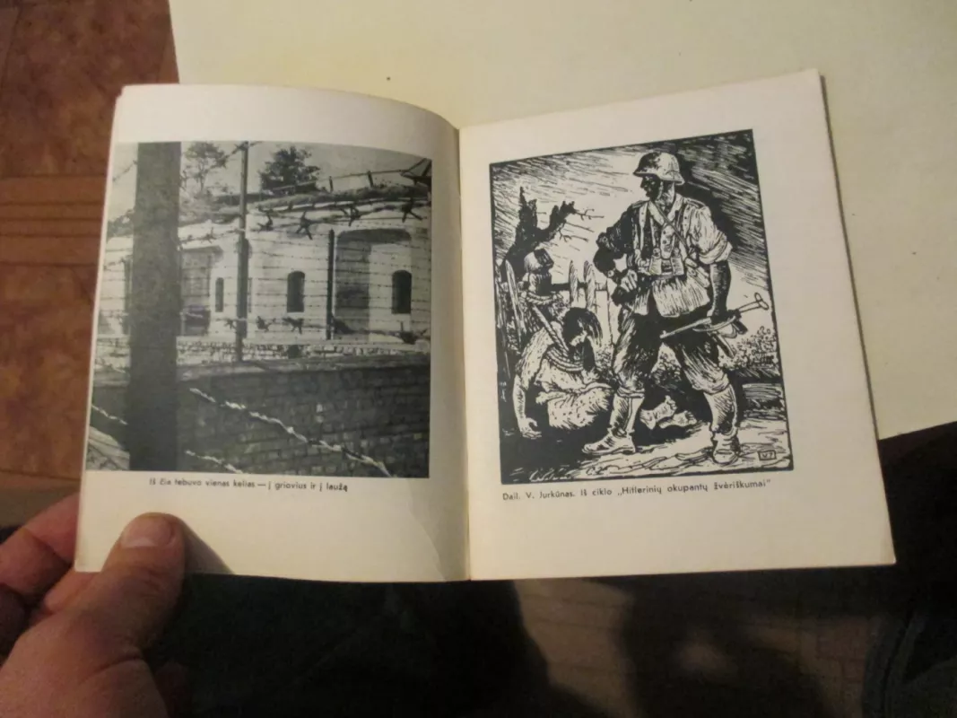 IX fortas kaltina - O. Kaplanas, knyga 4