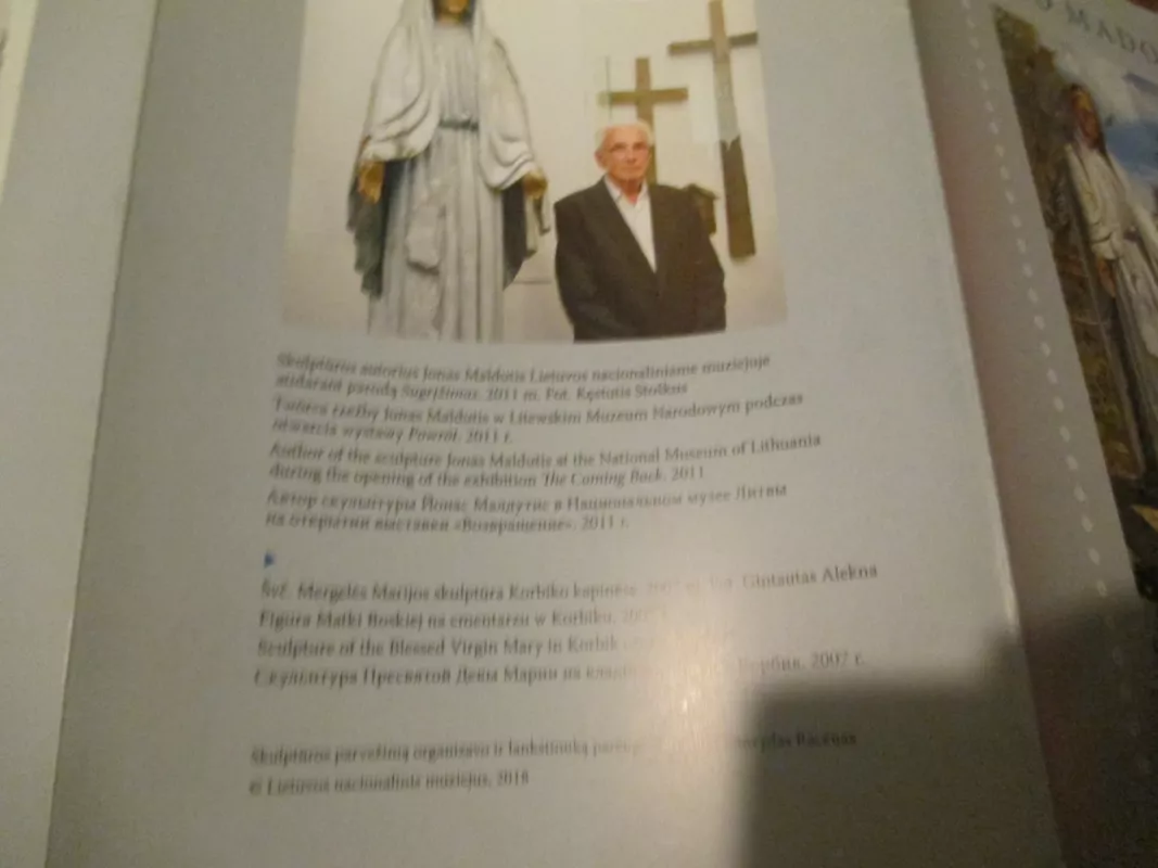 Sibiro Madona - Birutė Panumienė, knyga 4