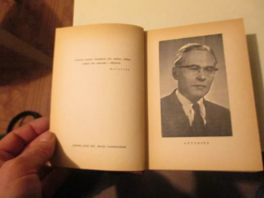 Be druskos - Povilas Laurinavičius, knyga 5