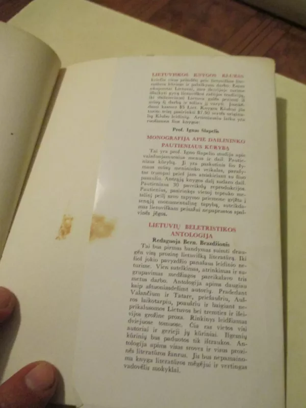 Negestis - Nelė Mazalaitė, knyga 5