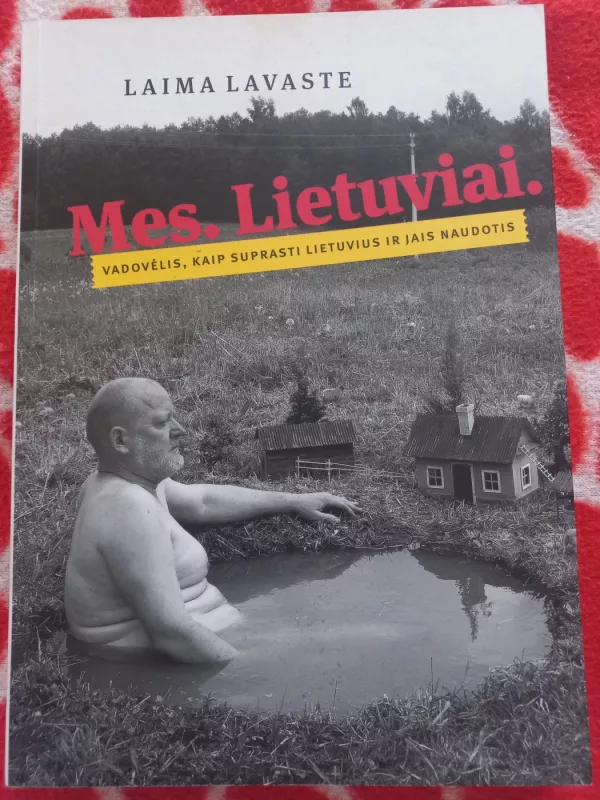 Mes. Lietuviai - Laima Lavaste, knyga 2