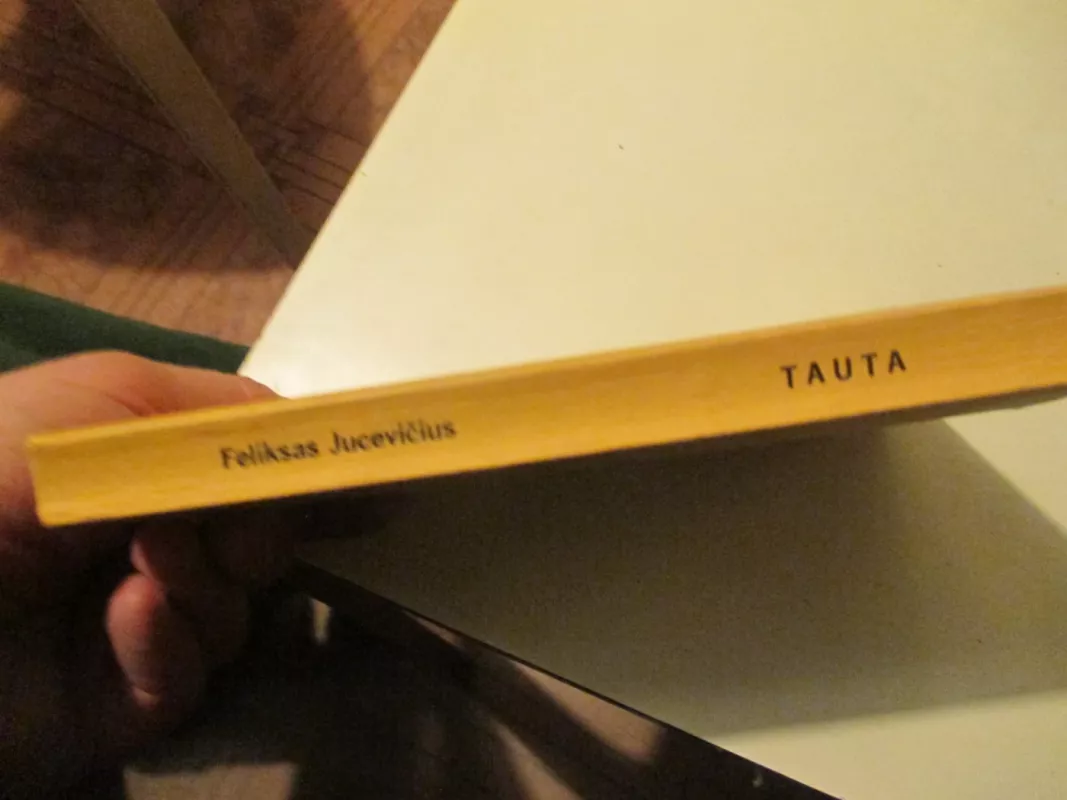 TAUTA TIKROVĖS IR MITO ŽAISME - Feliksas Jucevičius, knyga 6