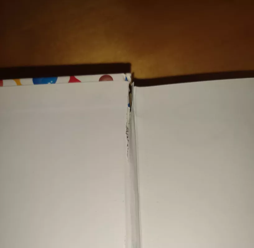 Smagūs bandymai vaikams - Autorių Kolektyvas, knyga 5