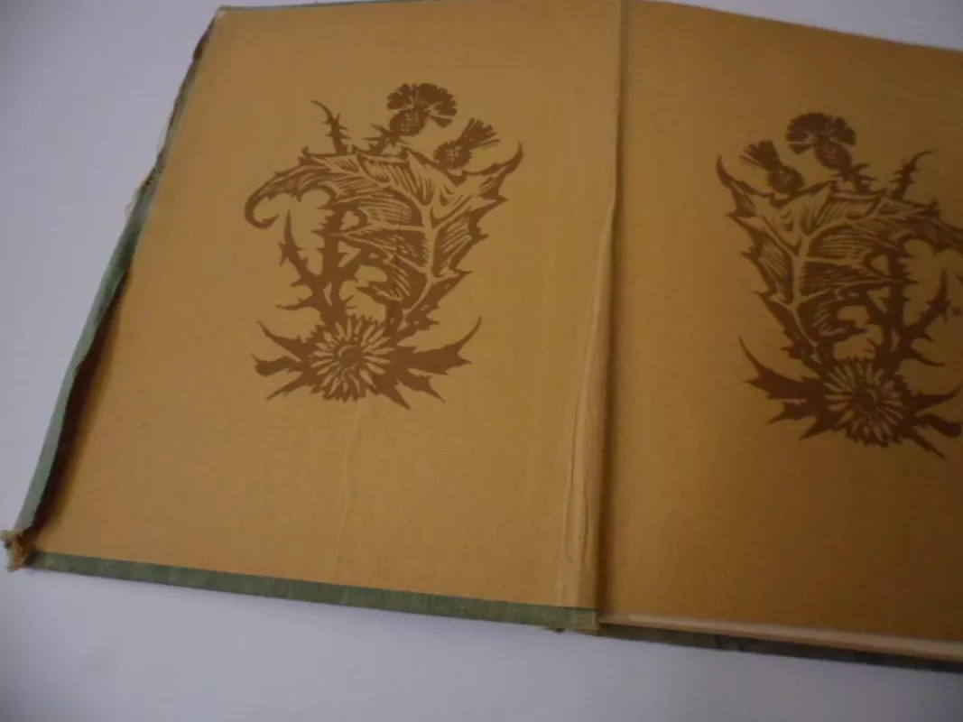 Žemė Maitintoja - Petras Cvirka, knyga 5