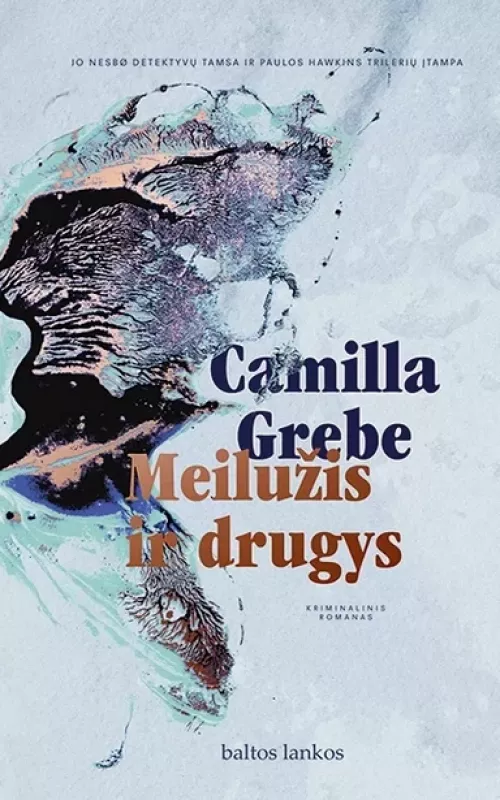 Meilužis ir drugys - Camilla Grebe, knyga