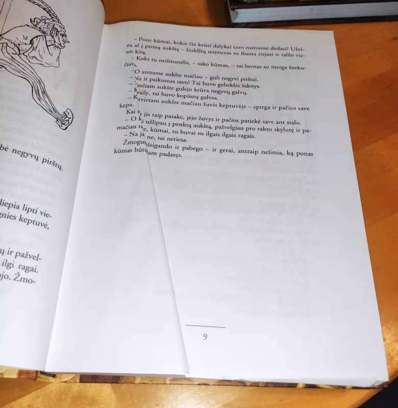 Vaikų ir namų pasakos (4 tomai) -  Broliai Grimai, knyga 5