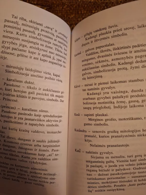 Simbolinių reikšmių žodynas - Lionė Lapinskienė, knyga 5