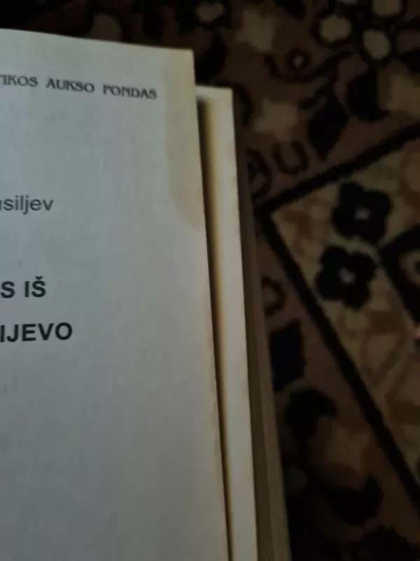 Raganius iš didžiojo Kijevo - Vladimir Vasiljev, knyga 4