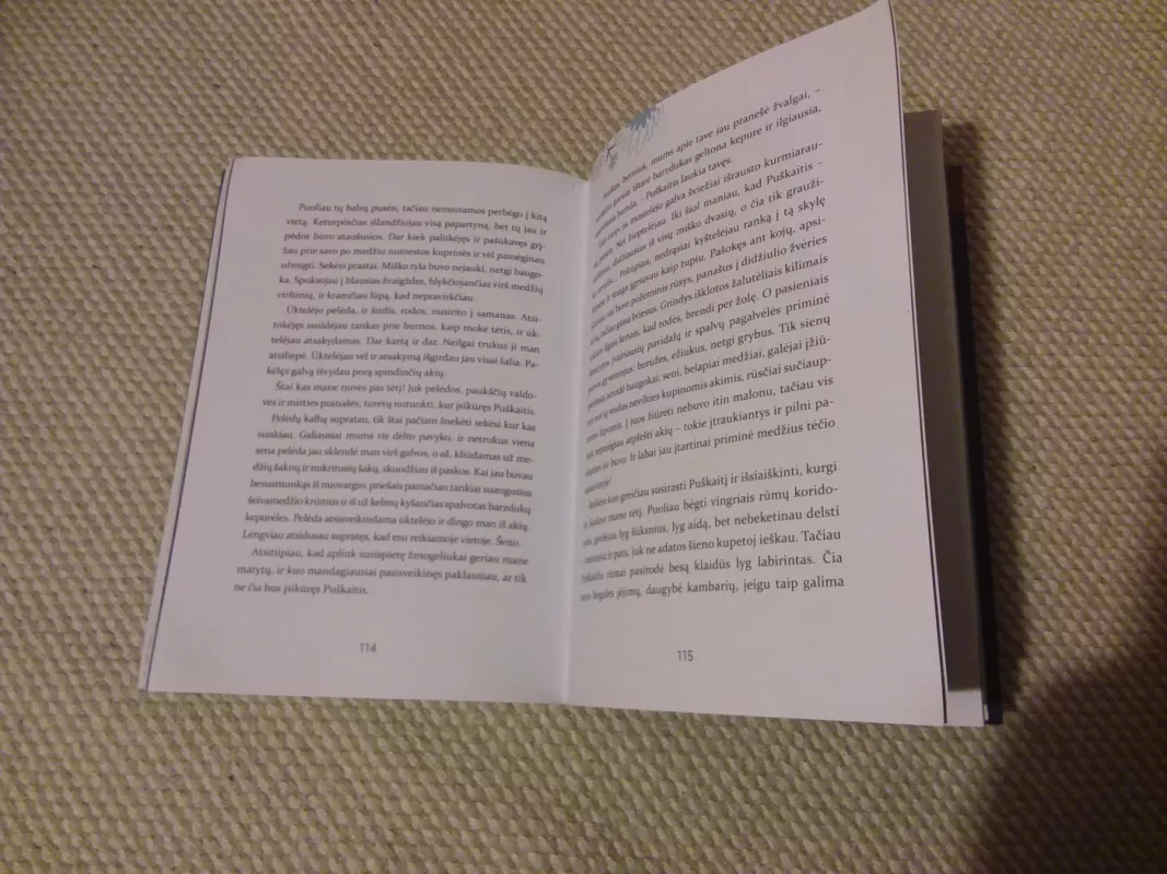 Kemsyno paslaptys - Jurgita Pelėdaitė, knyga 3