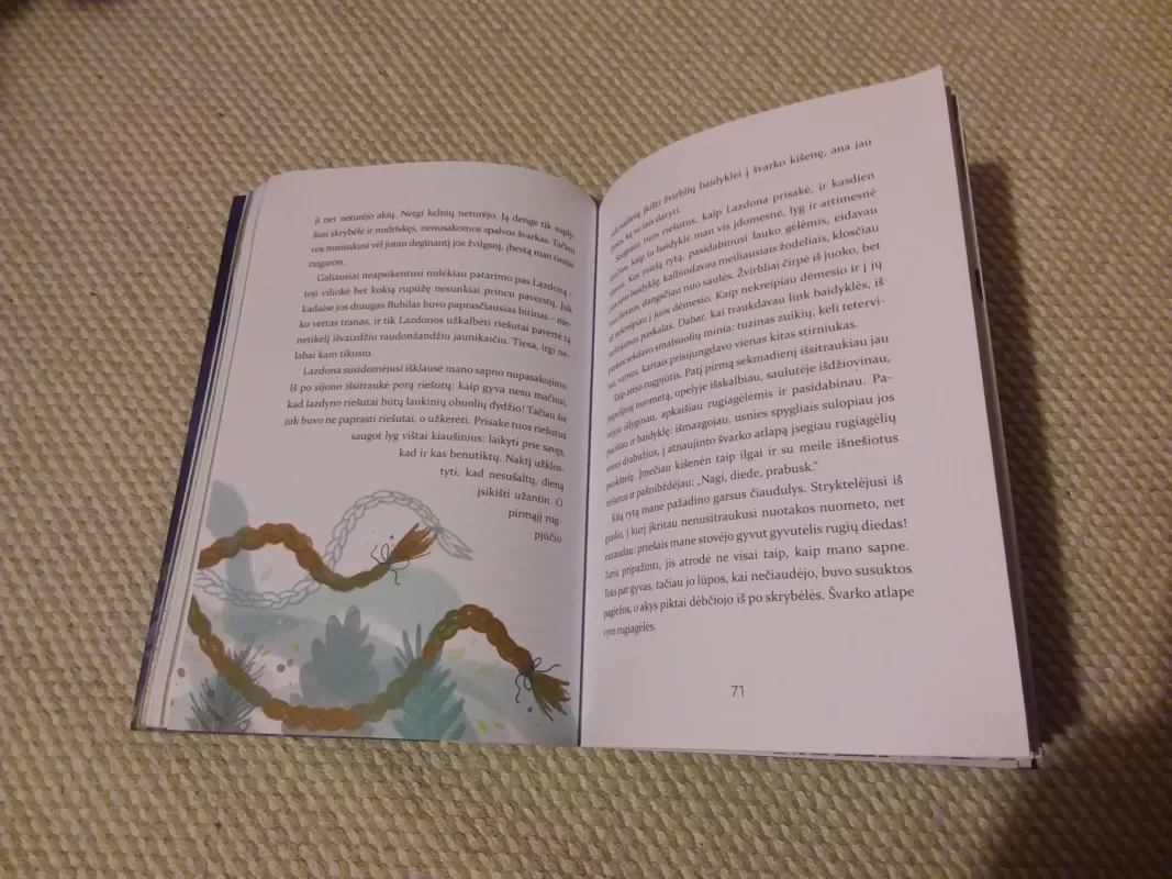 Kemsyno paslaptys - Jurgita Pelėdaitė, knyga 4