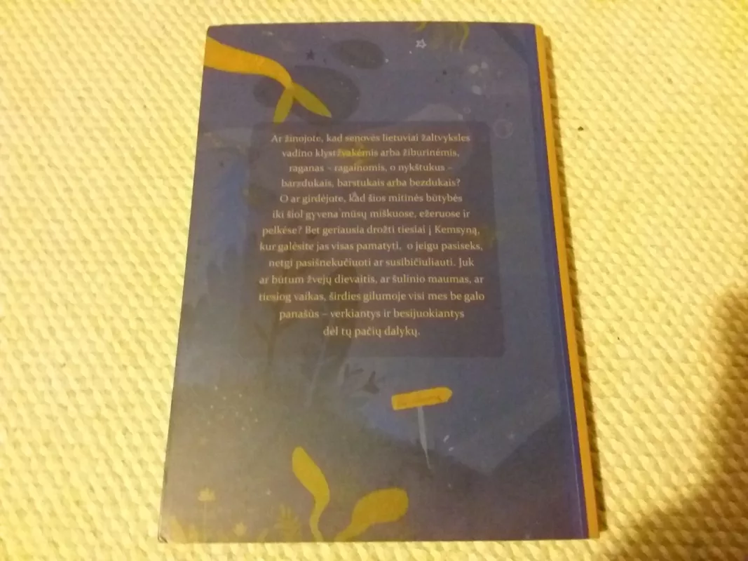 Kemsyno paslaptys - Jurgita Pelėdaitė, knyga 5