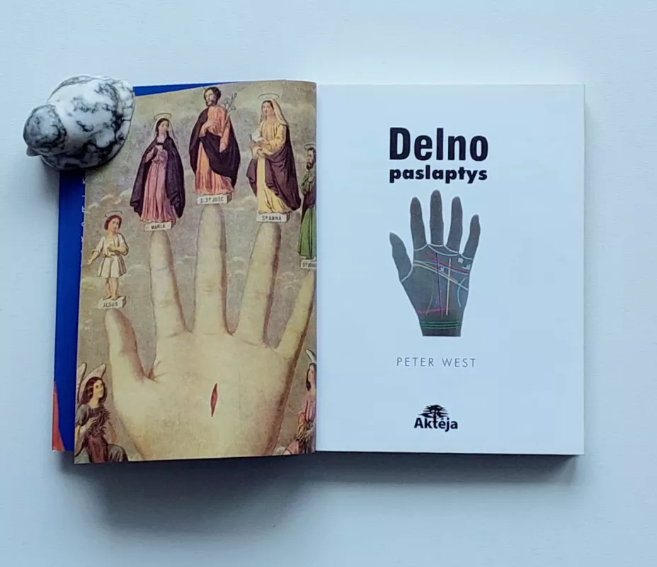 Delno paslaptys - Peter Wust, knyga 6