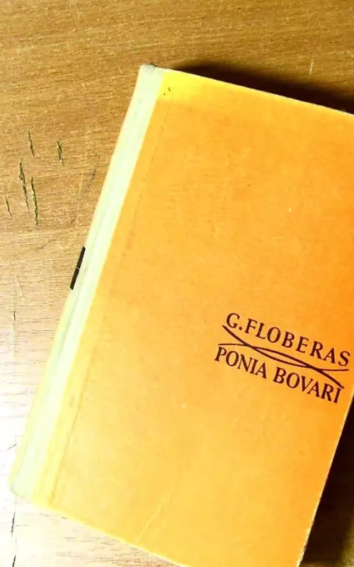 Ponia Bovari - Gustave Flaubert, knyga