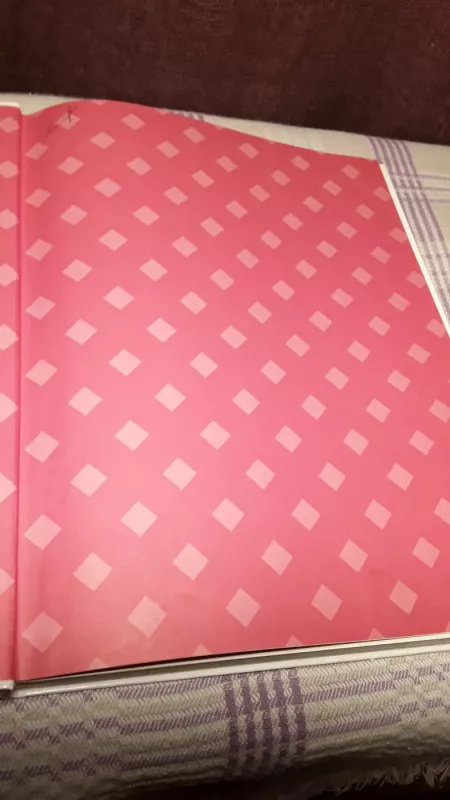 Mūsų namai - Joanna Lorenz, knyga 3