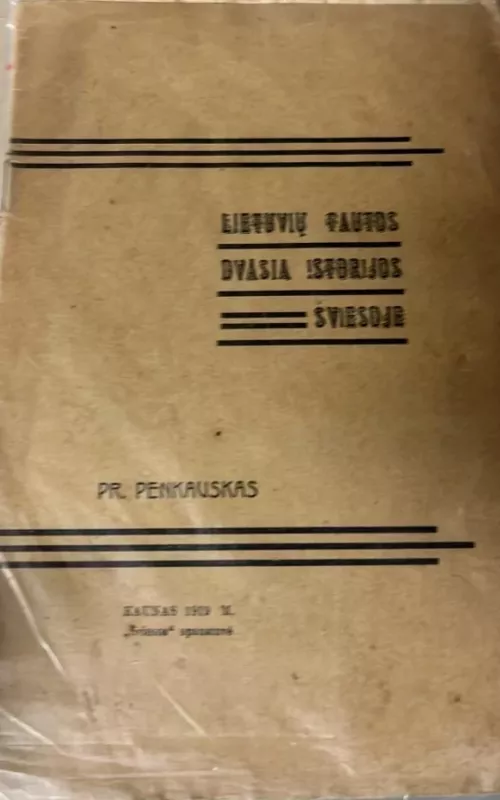 Lietuvių tautos dvasios istorijos šviesoje - P. Penkauskas, knyga