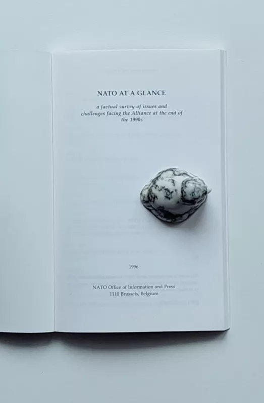 NATO at a glance - Autorių Kolektyvas, knyga 5