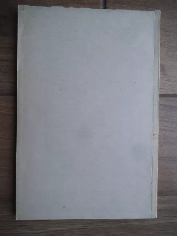 KGB akiratyje - Nijolė Sadūnaitė, knyga 3