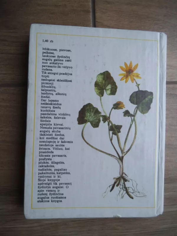 Pavasarį žydintys augalai - Živilė Lazdauskaitė, knyga 3