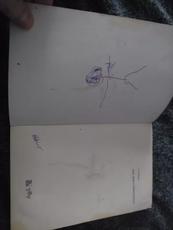 Vaikas, šeima ir išorinis pasaulis - Donald Woods Winnicott, knyga 4