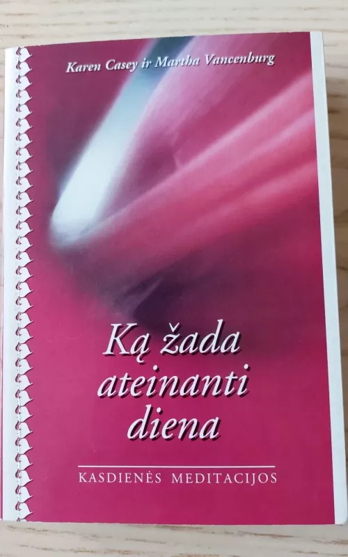 Ką žada ateinanti diena - Karen Casey, Martha  Vancenburg, knyga 2