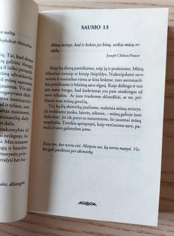 Ką žada ateinanti diena - Karen Casey, Martha  Vancenburg, knyga 6