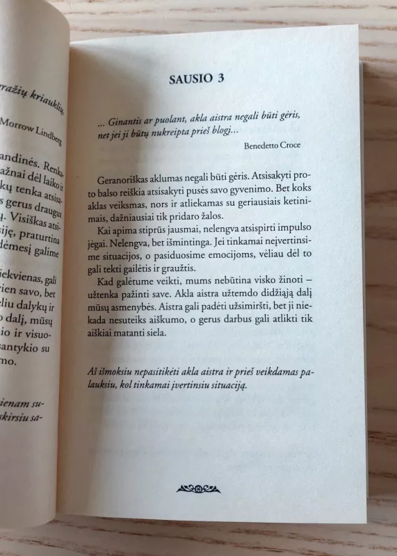 Ką žada ateinanti diena - Karen Casey, Martha  Vancenburg, knyga 5