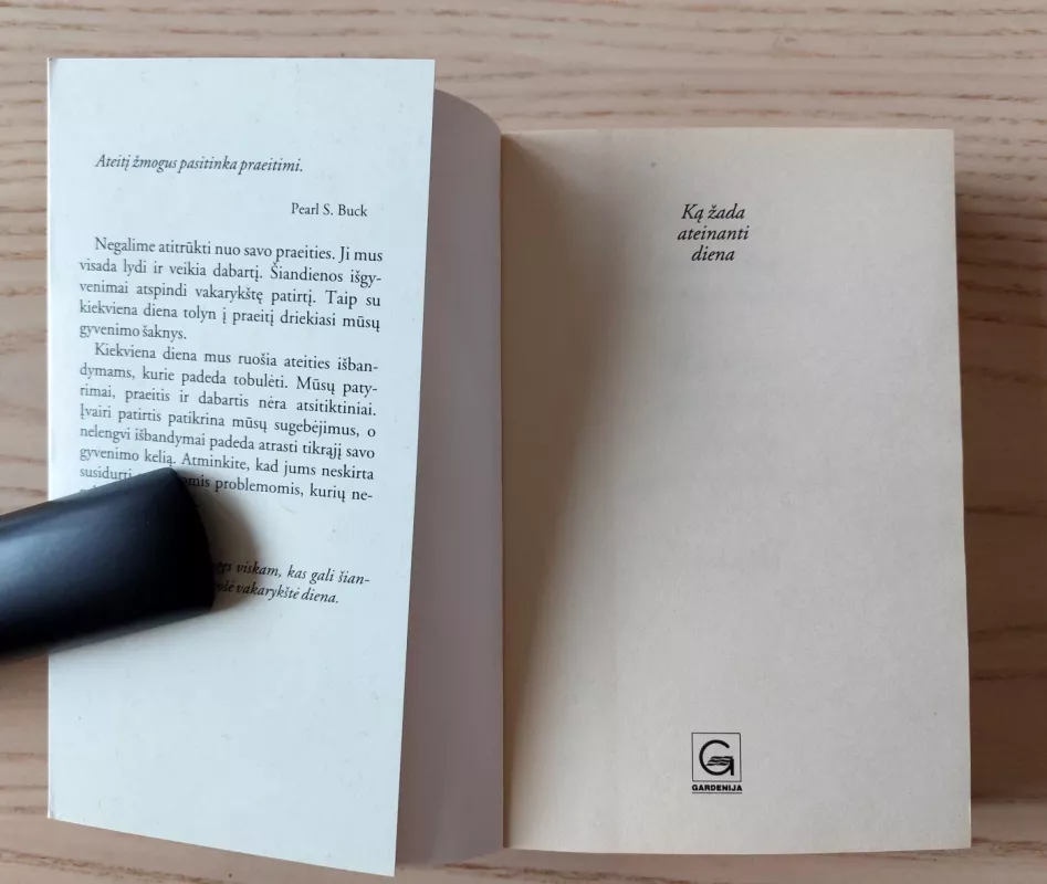 Ką žada ateinanti diena - Karen Casey, Martha  Vancenburg, knyga 3