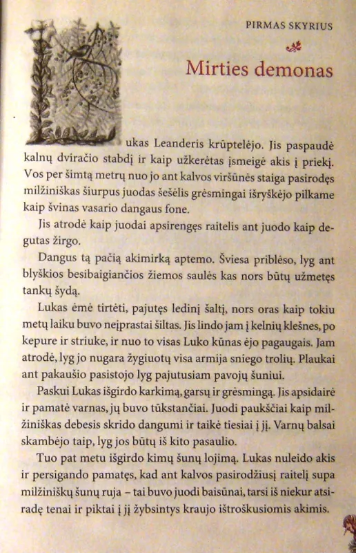 Laura ir šviesos labirintas - Peter Freund, knyga 6