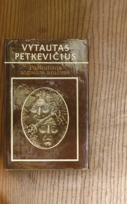 Paskutinis atgailos amžius - Vytautas Petkevičius, knyga