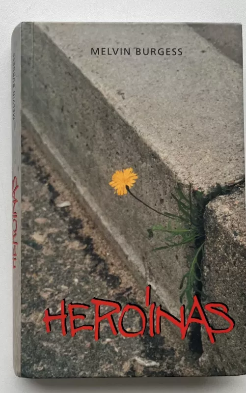 Heroinas - Melvin Burgess, knyga 2