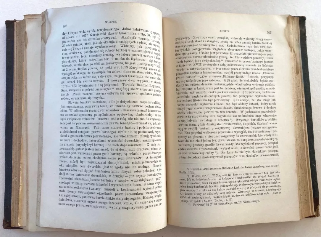 Biblioteka Warszawska – Rok 1892 Tom IV - Autorių Kolektyvas, knyga 6