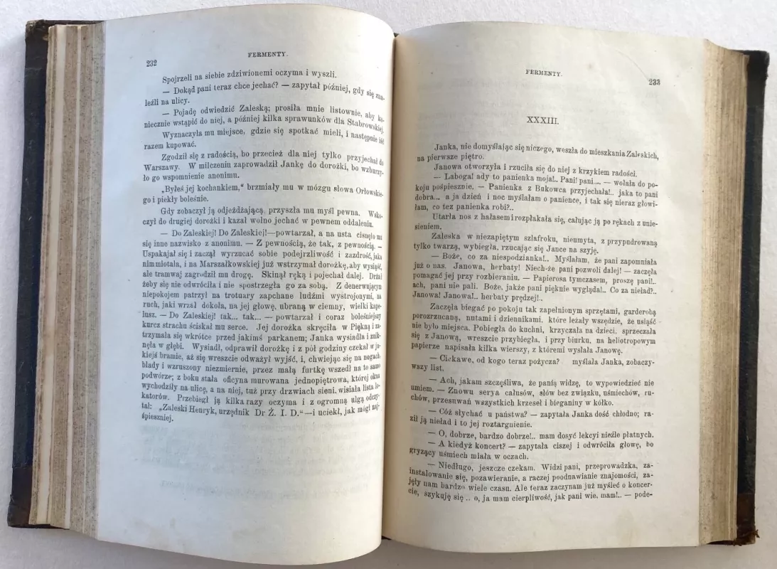 Biblioteka Warszawska – Rok 1896 Tom IV - Autorių Kolektyvas, knyga 6