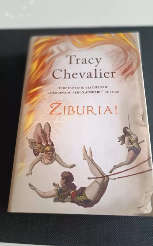 Žiburiai - Tracy Chevalier, knyga