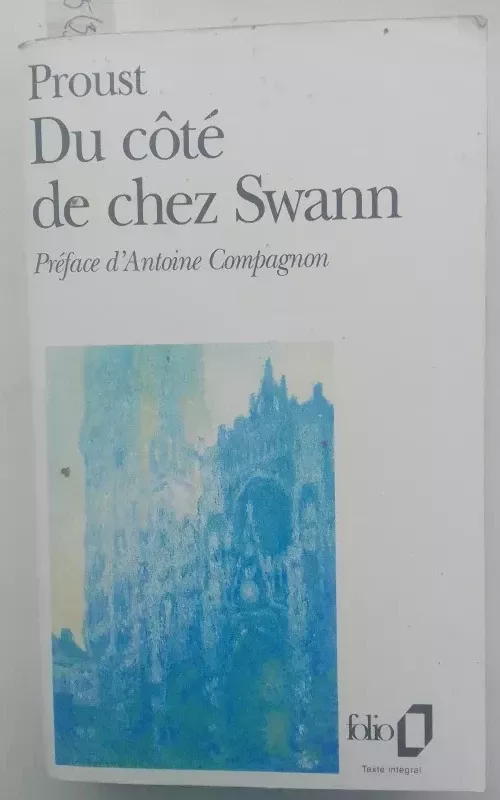 Du côté de chez Swann - Marcel Proust, knyga 2