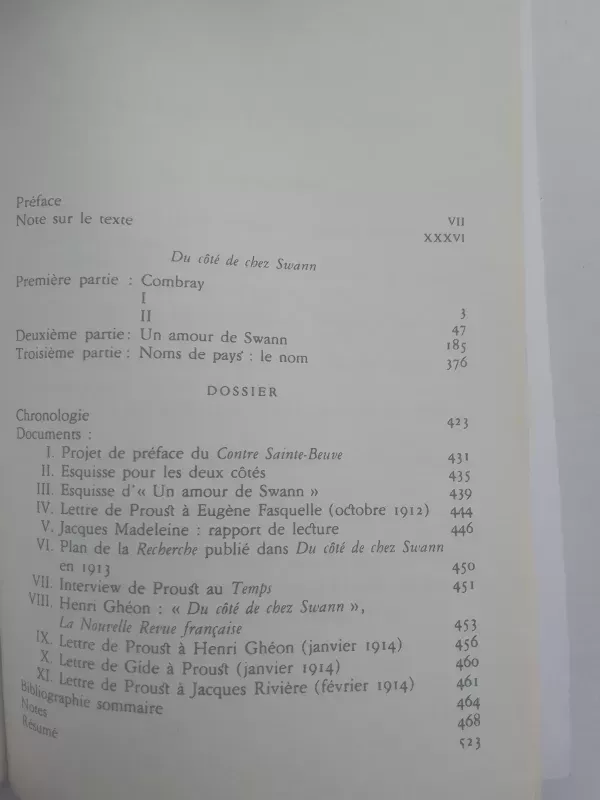 Du côté de chez Swann - Marcel Proust, knyga 3