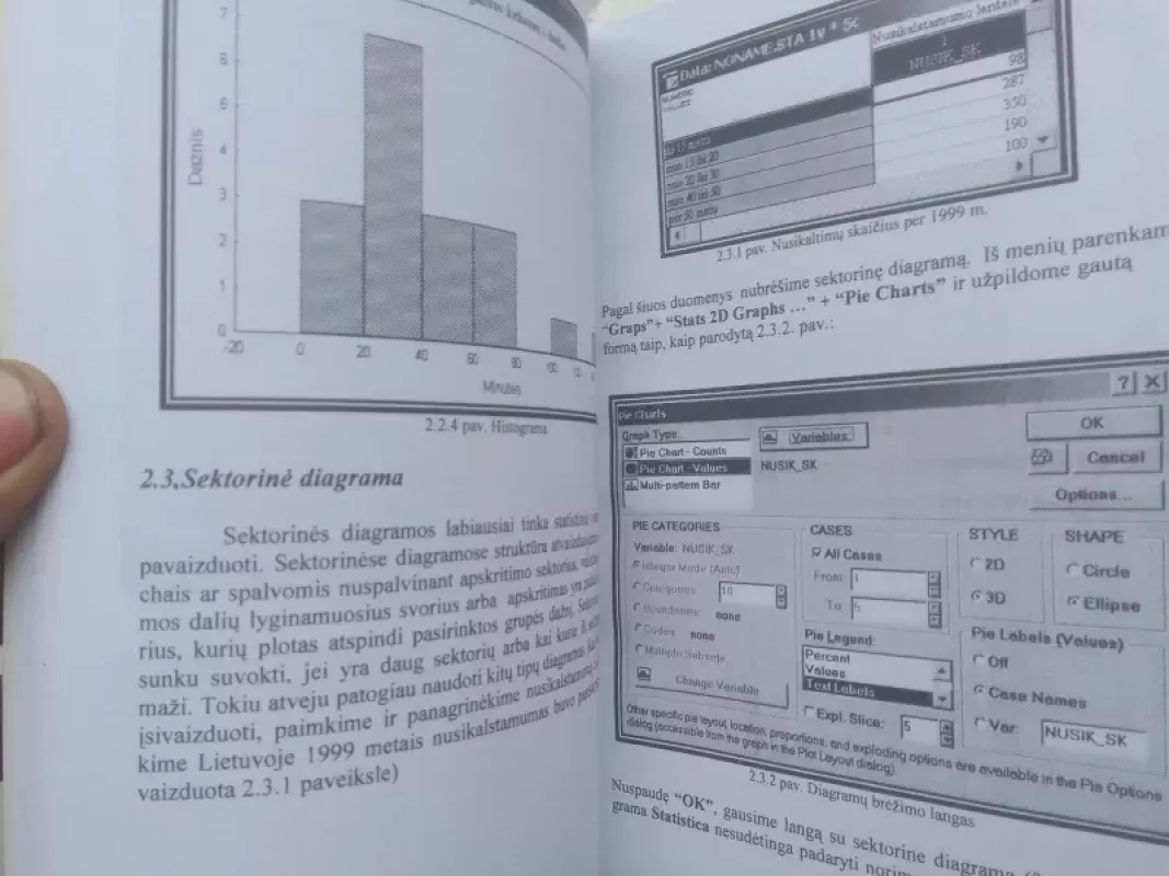 Ekonominės statistikos laboratoriniai darbai - Vladislava Bartosevičienė, knyga 5