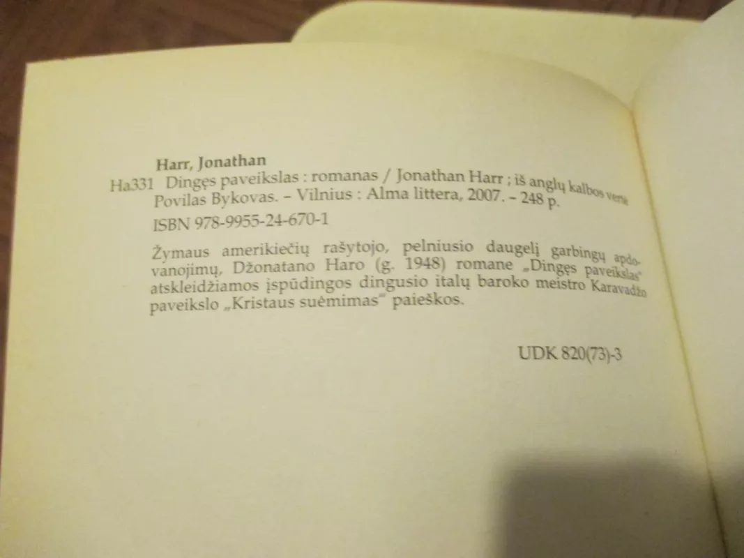 Dingęs paveikslas - Jonathan Harr, knyga 5