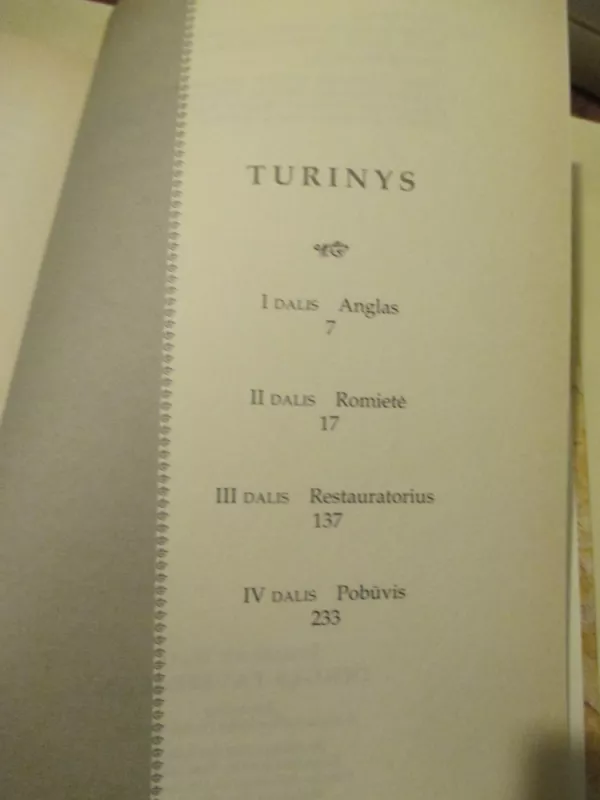 Dingęs paveikslas - Jonathan Harr, knyga 6