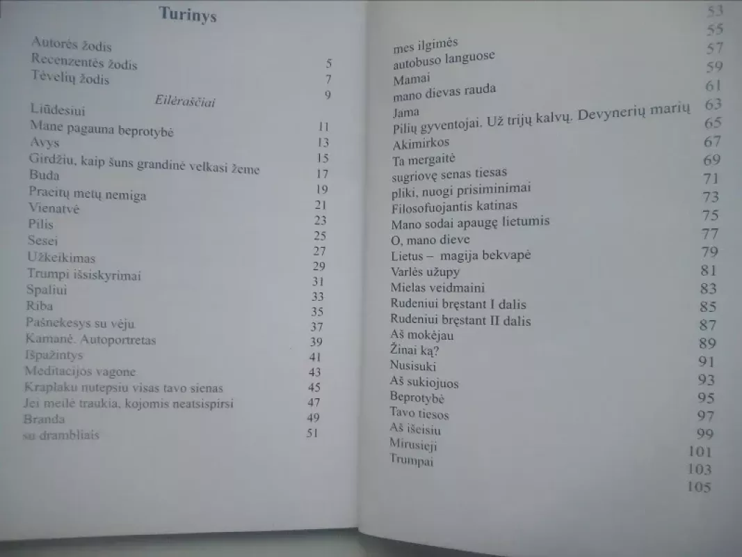 Praviri langai - Autorių Kolektyvas, knyga 3