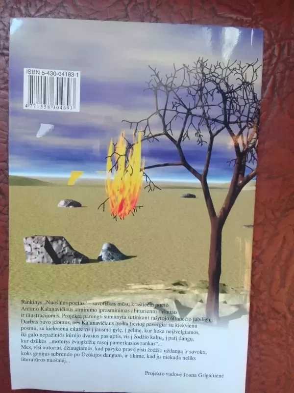 Nuošalės poetas (Antanas Kalanavičius) - Joana Grigaitienė, knyga 5