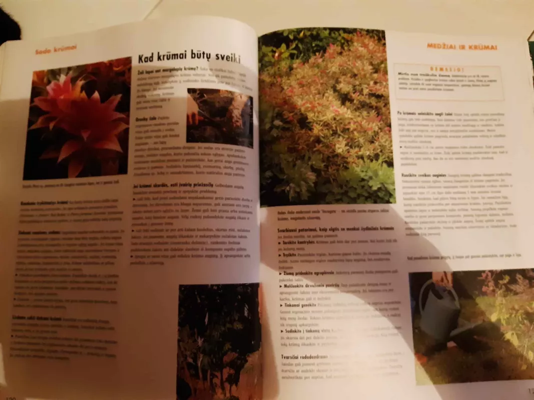 Senolių sodininkavimo paslaptys ir patarimai - Autorių Kolektyvas, knyga 5