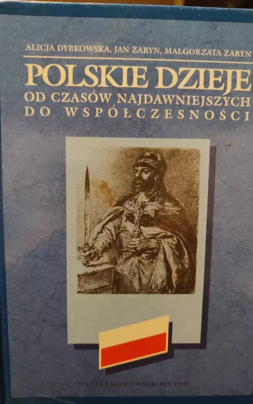 Polskie dzieje od czasów najdawniejszych do współczesności - Autorių Kolektyvas, knyga