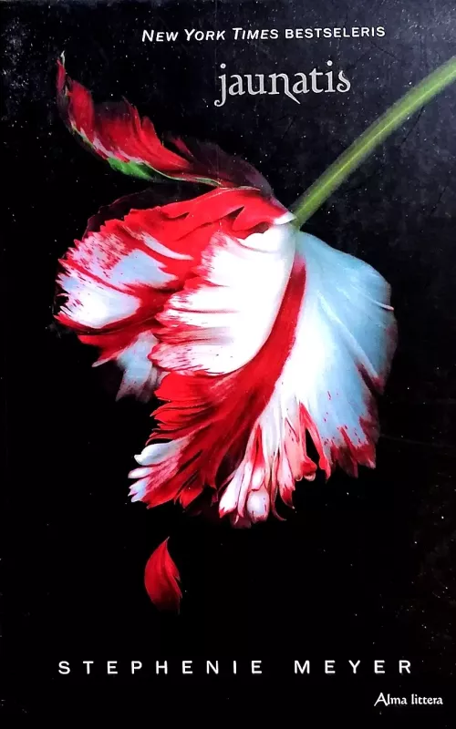 Jaunatis - Stephenie Meyer, knyga
