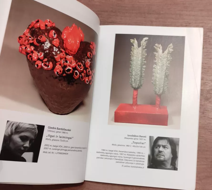 "Pavasaris 2008". Skirta keramikos muziejaus 30-mečiui - Juris Bergins, knyga 3