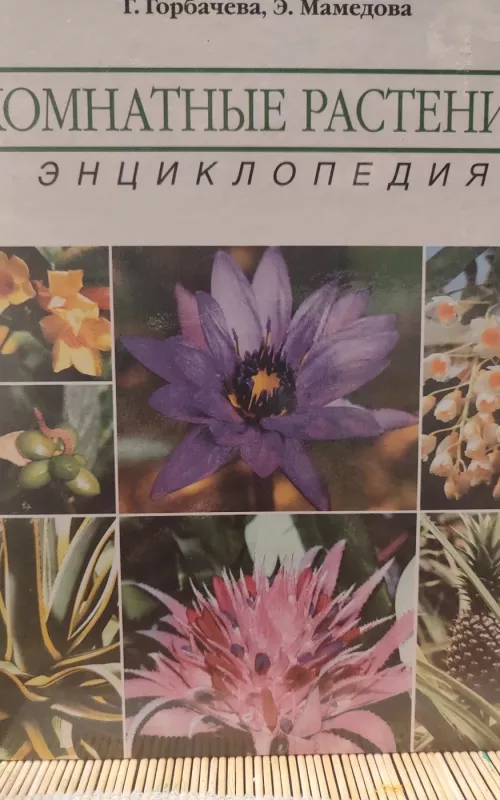Комнатные растения: энциклопедия - Г. и другие Горбачёва, knyga