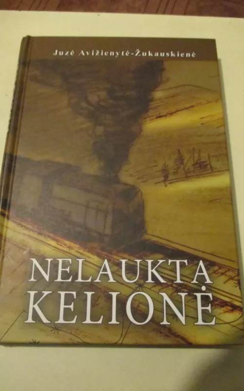 Nelaukta kelionė - Juzė Avižienytė-Žukauskienė, knyga 2